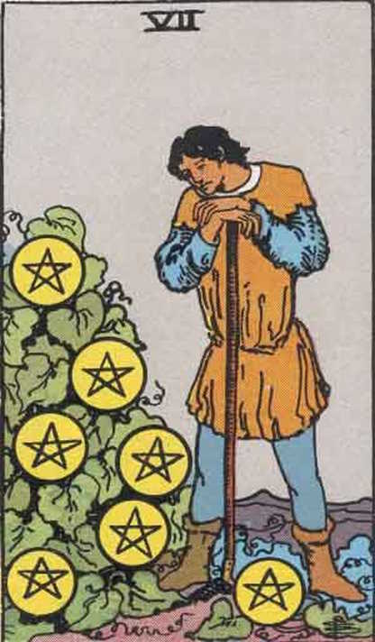 Seven of Pentacles Tarot Card