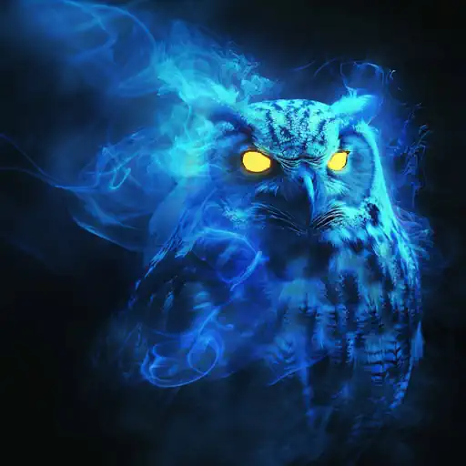 Owl Spirit Animal